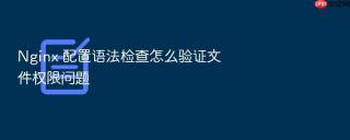 nginx 配置语法检查怎么验证文件权限问题