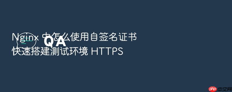 nginx 中怎么使用自签名证书快速搭建测试环境 https