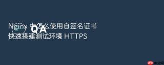 nginx 中怎么使用自签名证书快速搭建测试环境 https