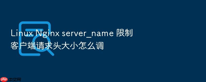 linux nginx server_name 限制客户端请求头大小怎么调