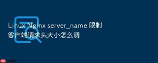 linux nginx server_name 限制客户端请求头大小怎么调