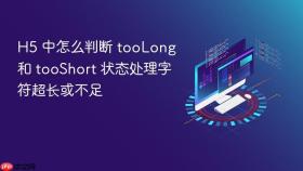 h5 中怎么判断 toolong 和 tooshort 状态处理字符超长或不足