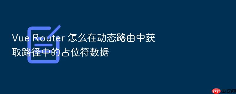 vue router 怎么在动态路由中获取路径中的占位符数据