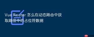 vue router 怎么在动态路由中获取路径中的占位符数据