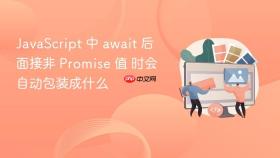 JavaScript 中 await 后面接非 Promise 值 时会自动包装成什么