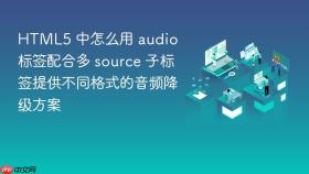 html5 中怎么用 audio 标签配合多 source 子标签提供不同格式的音频降级方案
