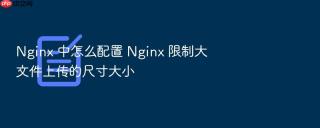 nginx 中怎么配置 nginx 限制大文件上传的尺寸大小