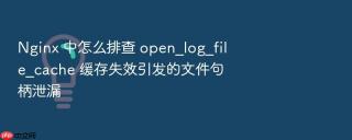 nginx 中怎么排查 open_log_file_cache 缓存失效引发的文件句柄泄漏