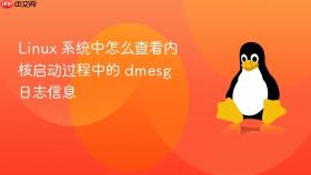 linux 系统中怎么查看内核启动过程中的 dmesg 日志信息