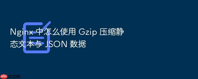 nginx 中怎么使用 gzip 压缩静态文本与 json 数据