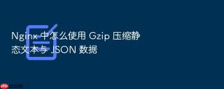 nginx 中怎么使用 gzip 压缩静态文本与 json 数据