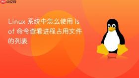 linux 系统中怎么使用 lsof 命令查看进程占用文件的列表