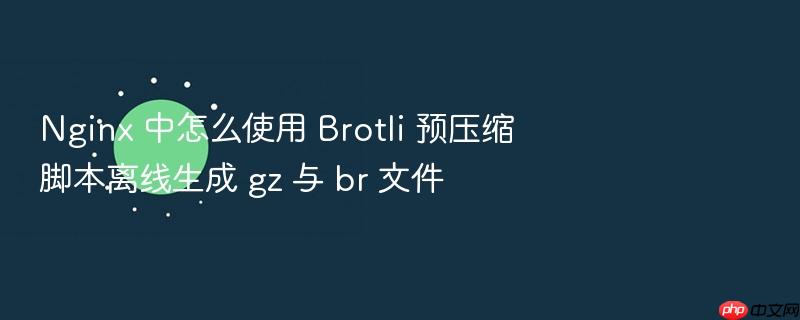 nginx 中怎么使用 brotli 预压缩脚本离线生成 gz 与 br 文件