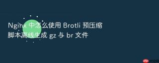 nginx 中怎么使用 brotli 预压缩脚本离线生成 gz 与 br 文件