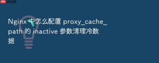 nginx 中怎么配置 proxy_cache_path 的 inactive 参数清理冷数据