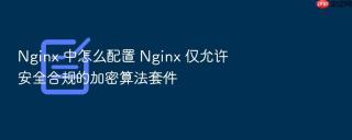 nginx 中怎么配置 nginx 仅允许安全合规的加密算法套件