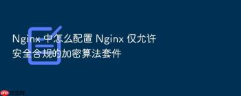 Nginx 中怎么配置 Nginx 仅允许安全合规的加密算法套件