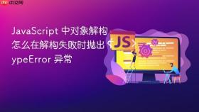 JavaScript 中对象解构怎么在解构失败时抛出 TypeError 异常