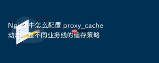 nginx 中怎么配置 proxy_cache 动态调整不同业务线的缓存策略