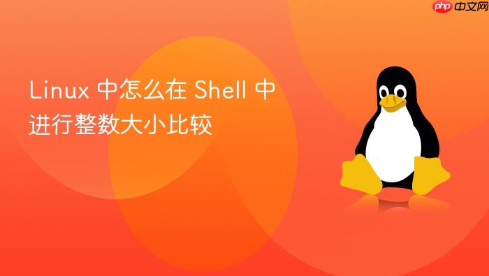 linux 中怎么在 shell 中进行整数大小比较