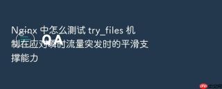 nginx 中怎么测试 try_files 机制在应对瞬时流量突发时的平滑支撑能力