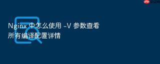 nginx 中怎么使用 -v 参数查看所有编译配置详情
