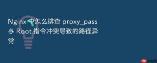 nginx 中怎么排查 proxy_pass 与 root 指令冲突导致的路径异常