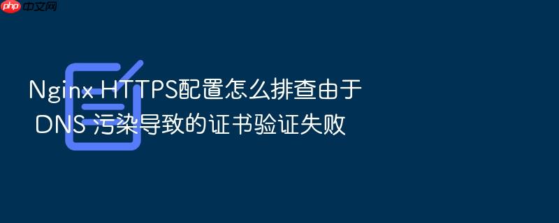 nginx https配置怎么排查由于 dns 污染导致的证书验证失败