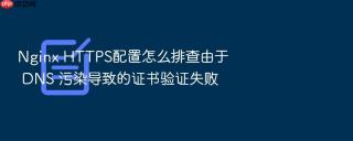 nginx https配置怎么排查由于 dns 污染导致的证书验证失败