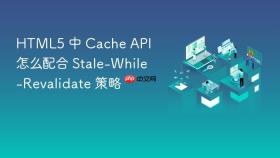html5 中 cache api 怎么配合 stale-while-revalidate 策略