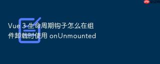vue 3 生命周期钩子怎么在组件卸载时使用 onunmounted