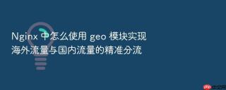 nginx 中怎么使用 geo 模块实现海外流量与国内流量的精准分流