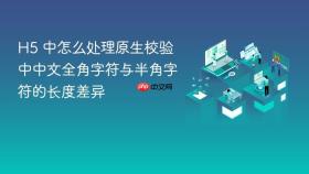 h5 中怎么处理原生校验中中文全角字符与半角字符的长度差异