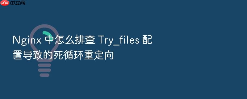 nginx 中怎么排查 try_files 配置导致的死循环重定向