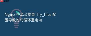 nginx 中怎么排查 try_files 配置导致的死循环重定向