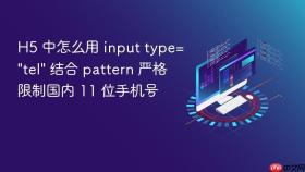 h5 中怎么用 input type=\