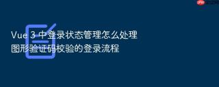 vue 3 中登录状态管理怎么处理图形验证码校验的登录流程