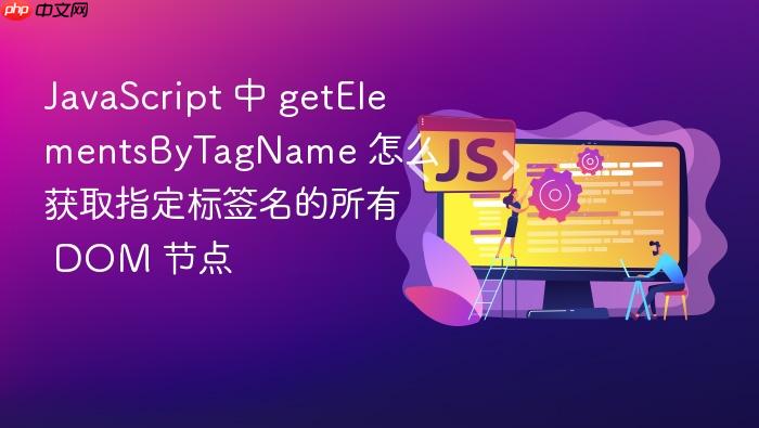 javascript 中 getelementsbytagname 怎么获取指定标签名的所有 dom 节点