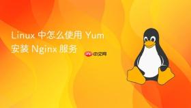 linux 中怎么使用 yum 安装 nginx 服务