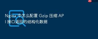 nginx 中怎么配置 gzip 压缩 api 接口返回的结构化数据