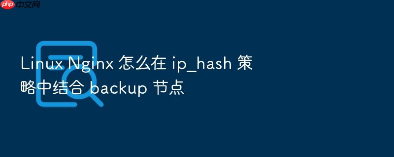linux nginx 怎么在 ip_hash 策略中结合 backup 节点
