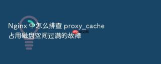 nginx 中怎么排查 proxy_cache 占用磁盘空间过满的故障