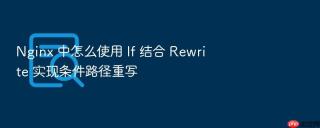 nginx 中怎么使用 if 结合 rewrite 实现条件路径重写