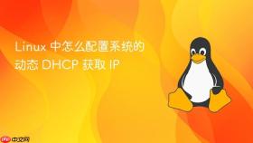 linux 中怎么配置系统的动态 dhcp 获取 ip