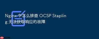 nginx 中怎么排查 ocsp stapling 无法获取响应的故障