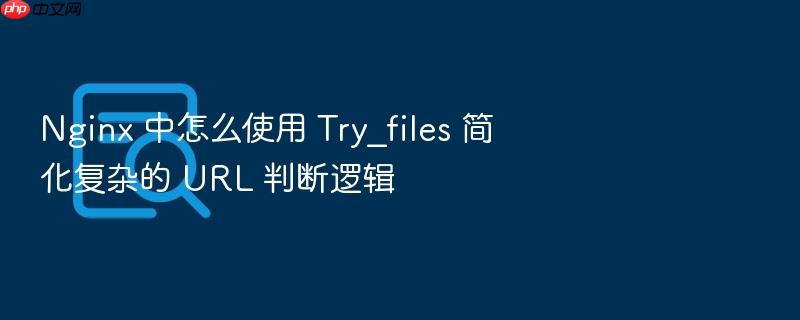 nginx 中怎么使用 try_files 简化复杂的 url 判断逻辑