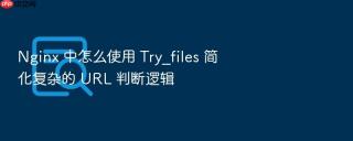 nginx 中怎么使用 try_files 简化复杂的 url 判断逻辑