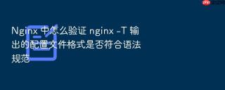 nginx 中怎么验证 nginx -t 输出的配置文件格式是否符合语法规范