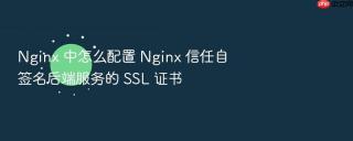 nginx 中怎么配置 nginx 信任自签名后端服务的 ssl 证书