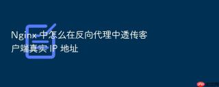 nginx 中怎么在反向代理中透传客户端真实 ip 地址